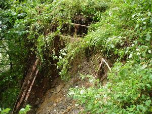 ��詓�2-6�^ORR