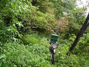 ��詓�2-7�^ORR