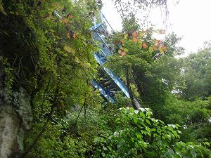 ��詓�3-3�^ORR