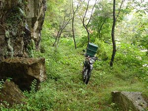 ��詓�3-4�^ORR