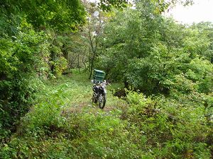 ��詓�3-5�^ORR