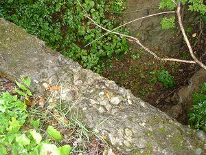 ��詓�3-7�^ORR