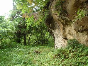 ��詓�4-1�^ORR