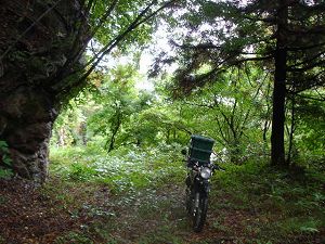 ��詓�4-2�^ORR