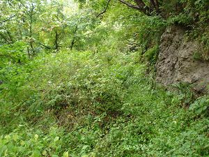 ��詓�4-4�^ORR