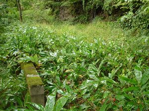 ��詓�4-5�^ORR