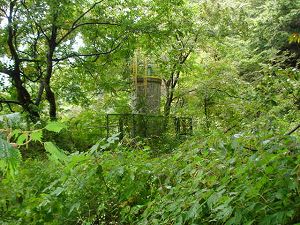 ��詓�4-6�^ORR