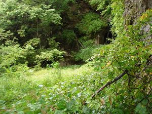 ��詓�4-7�^ORR