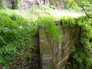 ��詓�5-4�^ORR