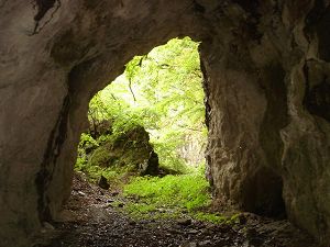 ��詓�6-4�^ORR