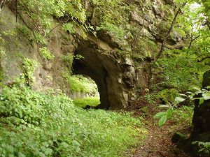 ��詓�6-7�^ORR