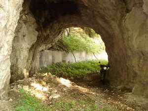 ��詓�7-1�^ORR