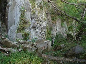 ��詓�7-4�^ORR