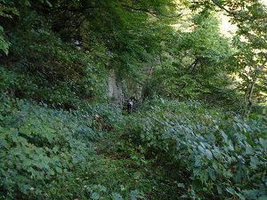 ��詓�7-6�^ORR