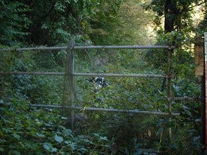 ��詓�8-3�^ORR