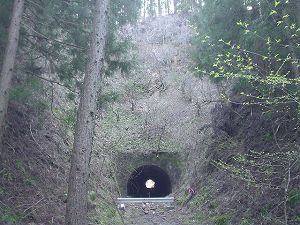 ������詓�1-1�^ORR