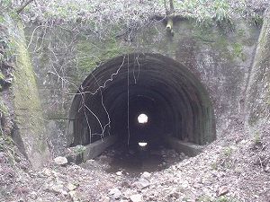 ������詓�1-2�^ORR