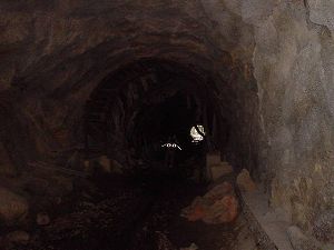 ������詓�3-1�^ORR