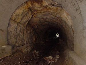 ������詓�3-3�^ORR