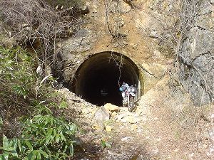 ������詓�3-6�^ORR