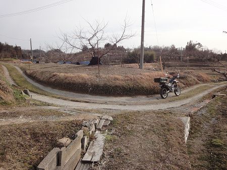 ���j�̓������񍐏��Q�O�P�R�|�S