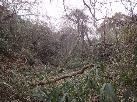 ���j�̓������񍐏��Q�O�P�R�|�R