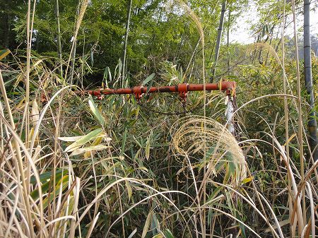 ���j�̓������񍐏��Q�O�P�R�|�P