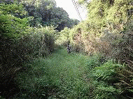 image008.gif
