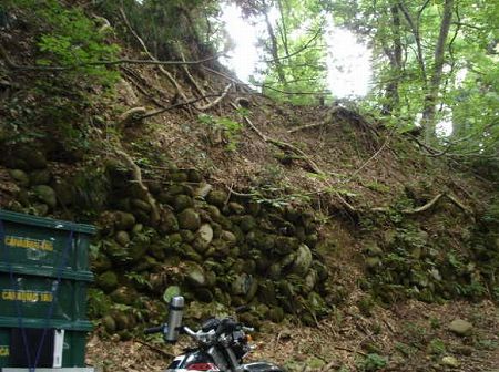 ���j�̓������񍐏������4