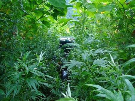 ���j�̓������񍐏������2