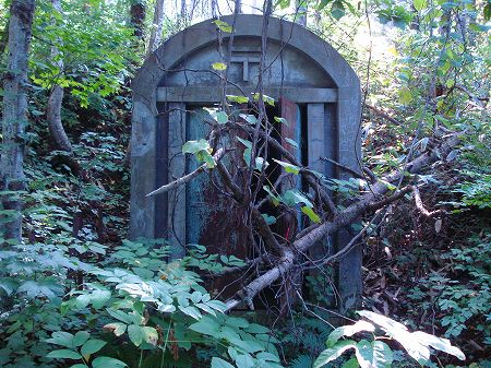 ���j�̓������񍐏������1