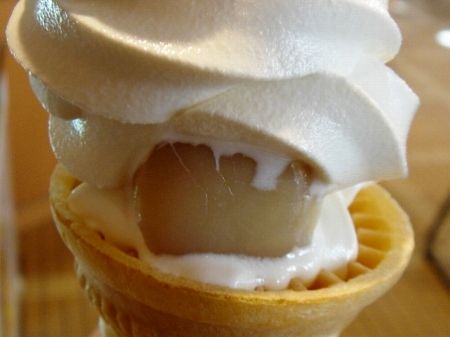 �����̊L�������̂܂ܓ����Ă���\�t�g�N���[���@���Ƃ̂ς킷��