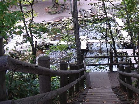 �ӂ����������̎U���H�@���Ƃ̂ς킷��