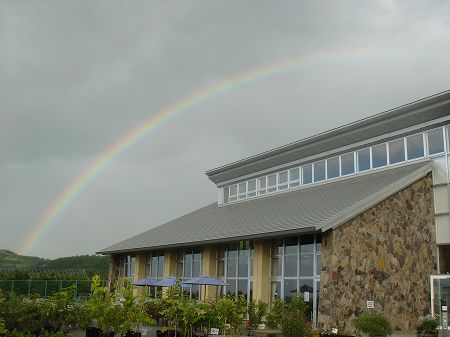 �t���[�c�p�[�N�m�؁@���Ƃ̂ς킷��