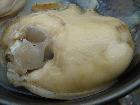 ����H���≲�y�̐g�@���Ƃ̂ς킷��