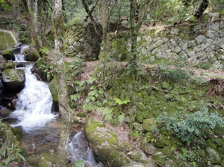 �����̑�V�����̑ې������Ί_�@���Ƃ̂ς킷��