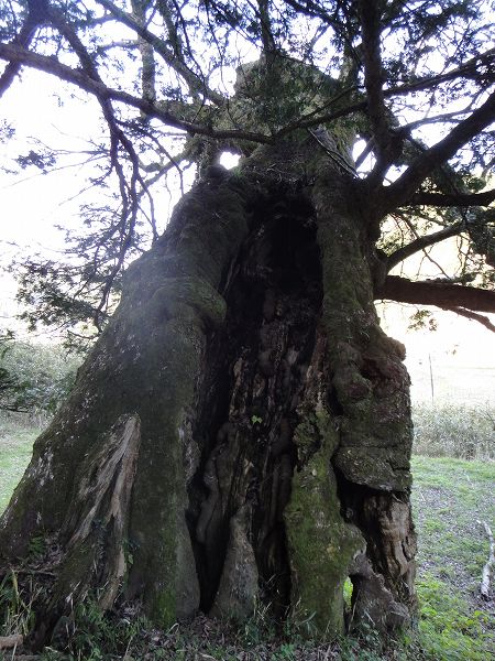 �O�����̃��N�m�L�̌Ö؁@���Ƃ̂ς킷��