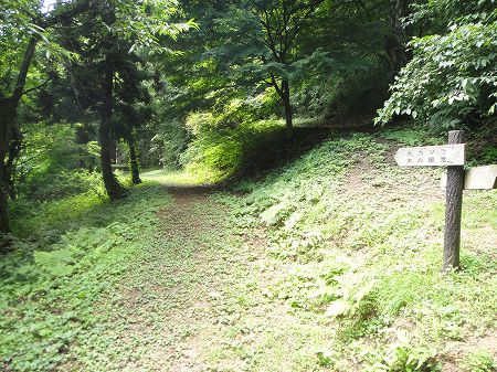 �e�a��̑�J�c���V�����@���Ƃ̂ς킷��