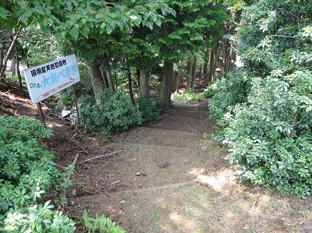 ��A�x�}�L�ւ̗V�����@���Ƃ̂ς킷��