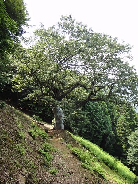 ���剮�̑�A�x�}�L�@���Ƃ̂ς킷��