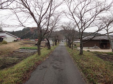 �����_�Ђ̎Q���@���Ƃ̂ς킷��