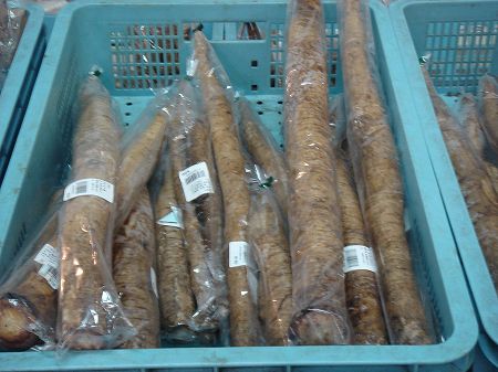 ���w�Ђ������ڂ��@���Ƃ̂ς킷��