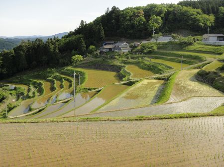 ���R�̒I�c�@���Ƃ̂ς킷��