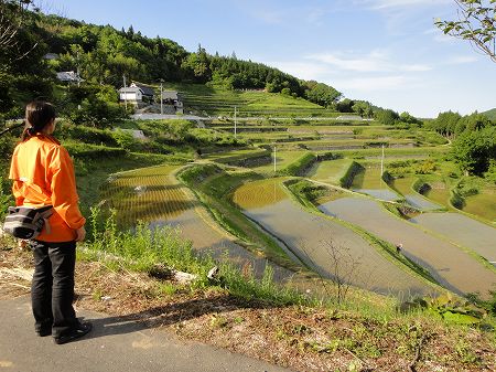 �I�c�S�I�@���R�̒I�c�@���Ƃ̂ς킷��