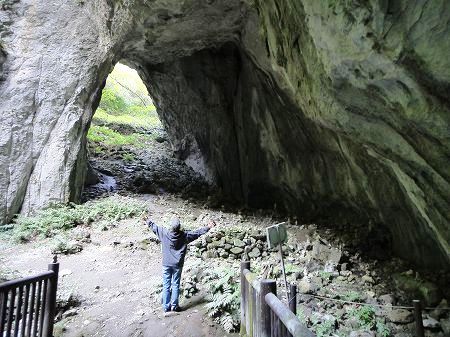 �V�R�̃g���l��������@���Ƃ̂ς킷��