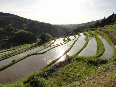 ���𒣂����嚸�a�̒I�c�@���Ƃ̂ς킷��