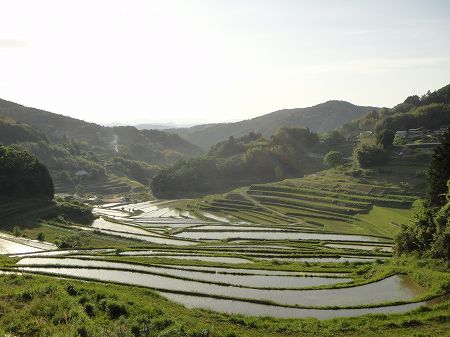 �I�c�S�I�嚸�a�̒I�c�@���Ƃ̂ς킷��