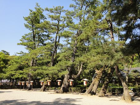 �o�_��ЎQ���̏����؁@���Ƃ̂ς킷��