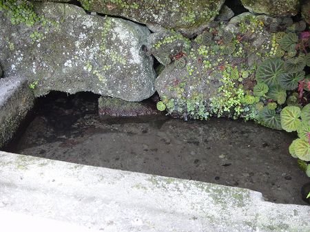 ���т��Ⴍ�̈�ˁ@���Ƃ̂ς킷��