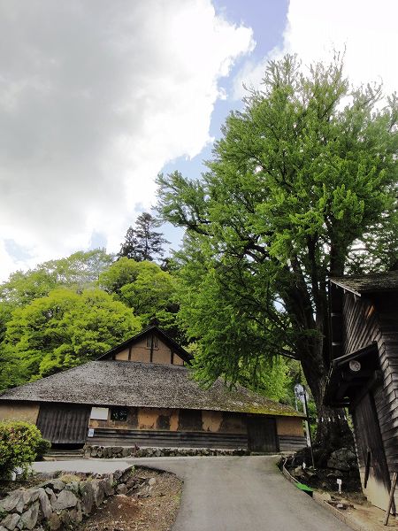 ���J������R�� ���Ƃ̂ς킷��